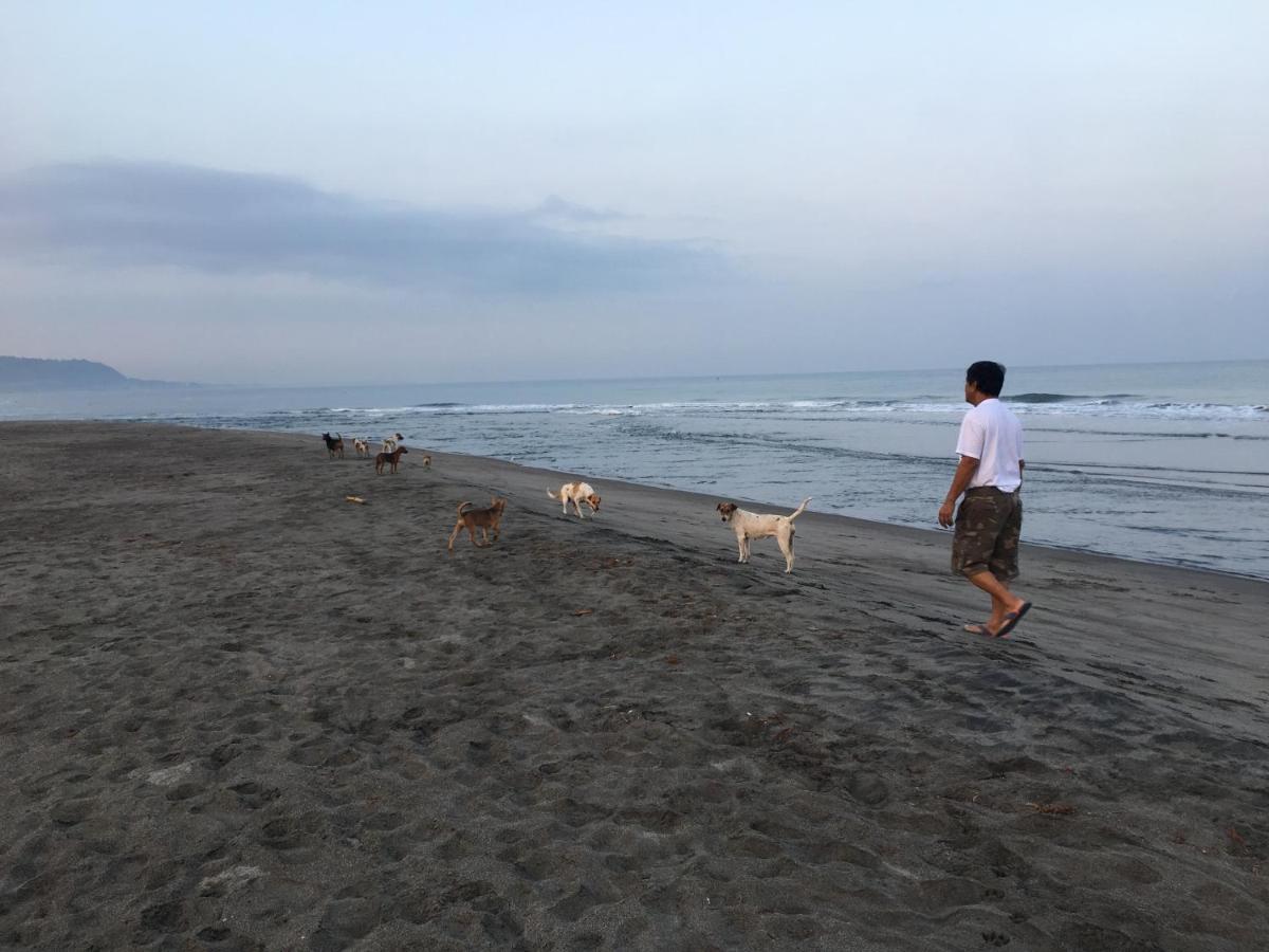 Em Royalle Hotel & Beach Resort ซานฮวน ภายนอก รูปภาพ